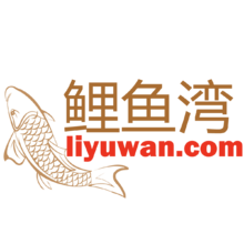 鲤鱼湾app