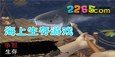 海上生存游戏