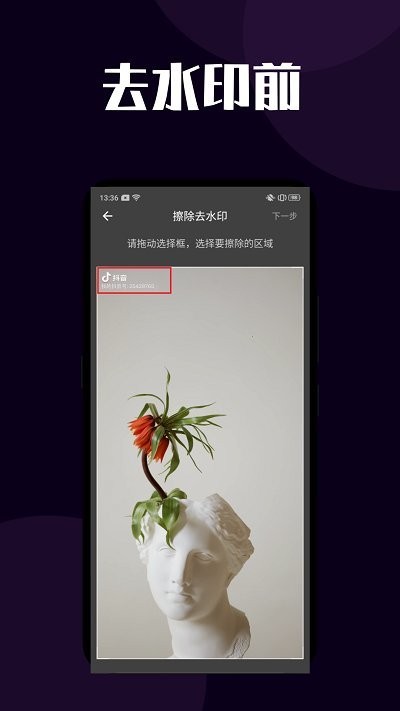 闪电短视频去水印软件