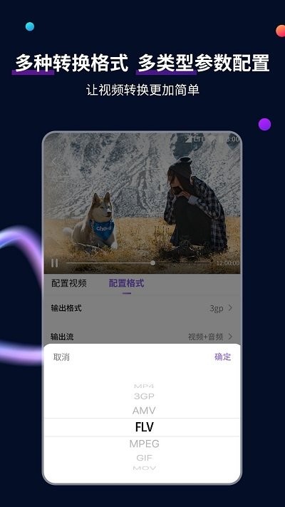 格式转换工具软件(更名视频格式转换工具)