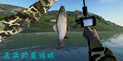 真实钓鱼游戏
