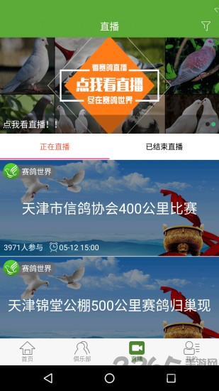 赛鸽世界手机版下载