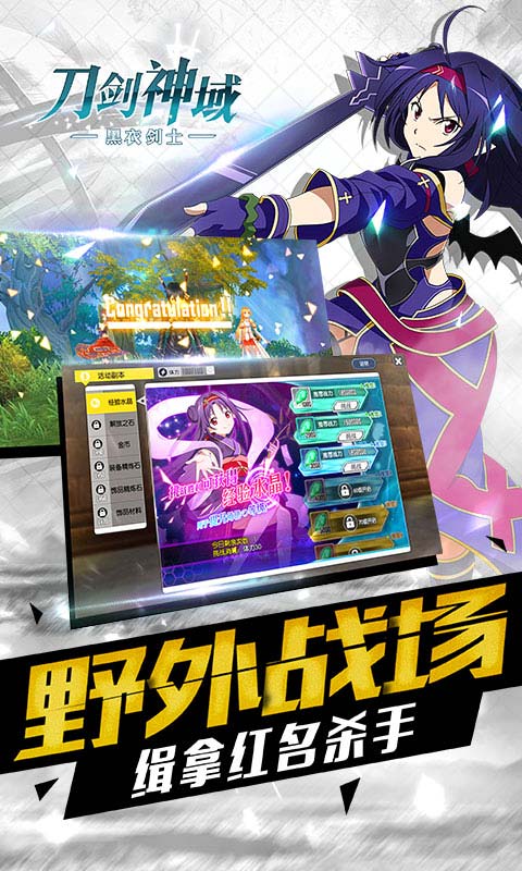 刀剑神域黑衣剑士快用版