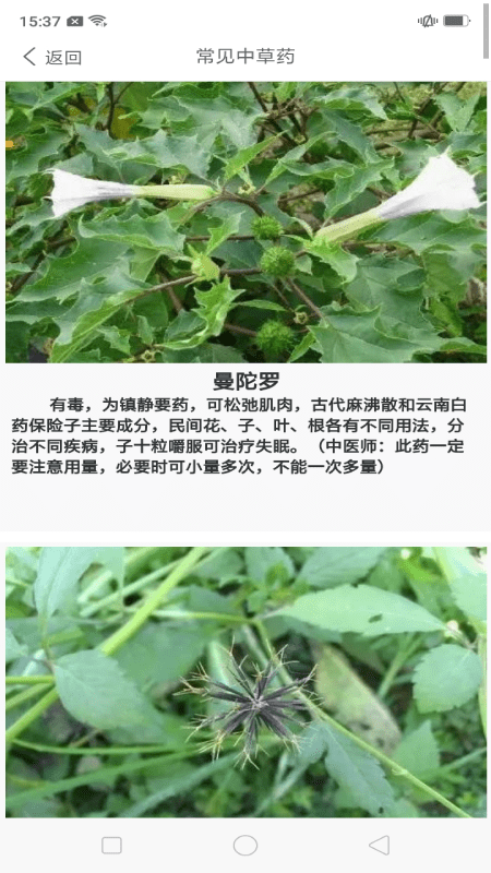 中药养生记app