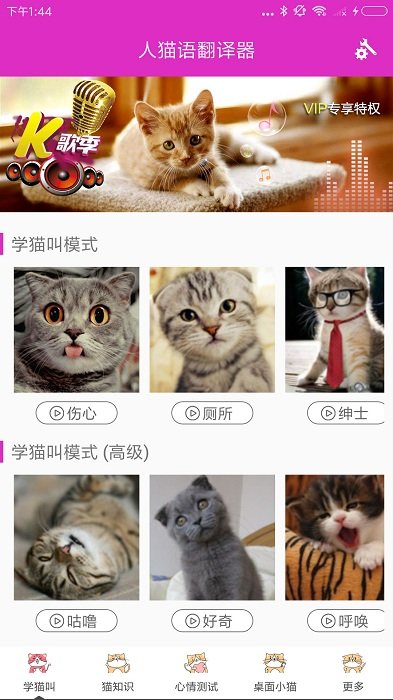 猫咪语言翻译器软件