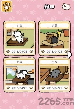 猫咪后院官方版 猫咪后院最新版本下载