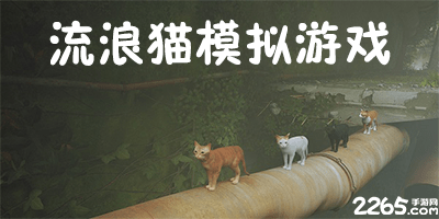 流浪猫模拟游戏