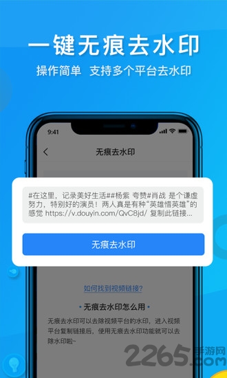 视频去水印管家app