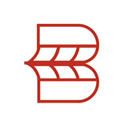 bingo软件