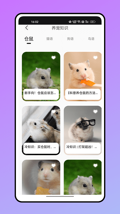 仓鼠翻译器手机版下载