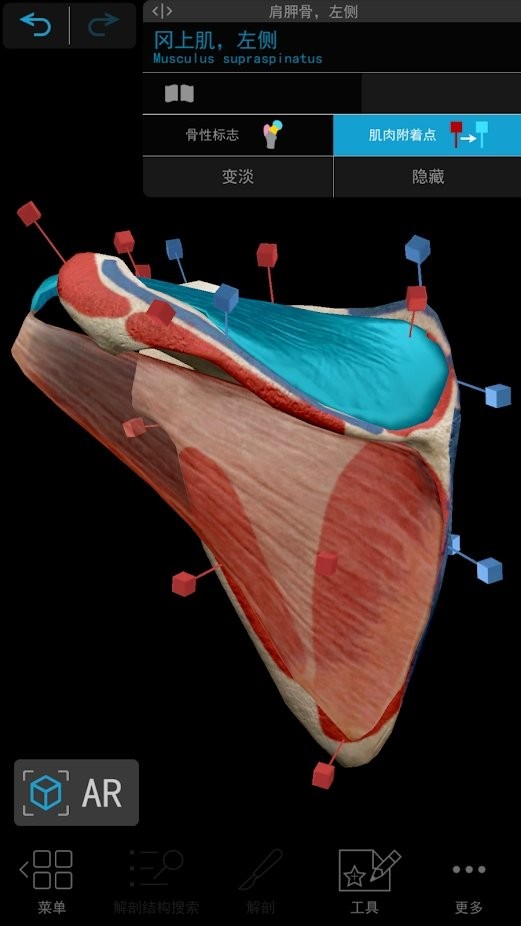 human anatomy atlas2021中文版