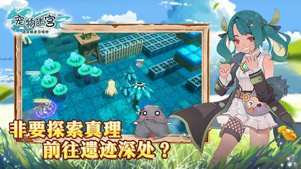 宠物迷宫单机版