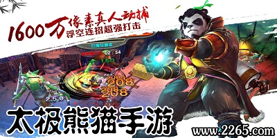 太极熊猫