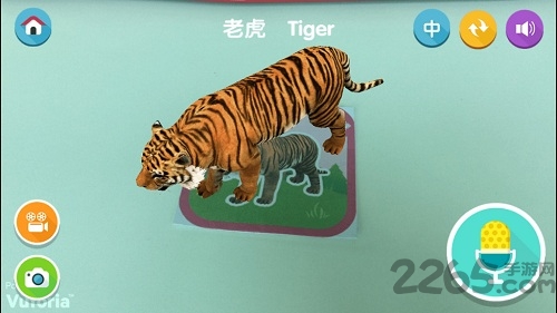 小兔伴伴官方 小兔伴伴官方