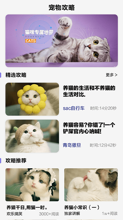 可爱喵喵壁纸大全软件