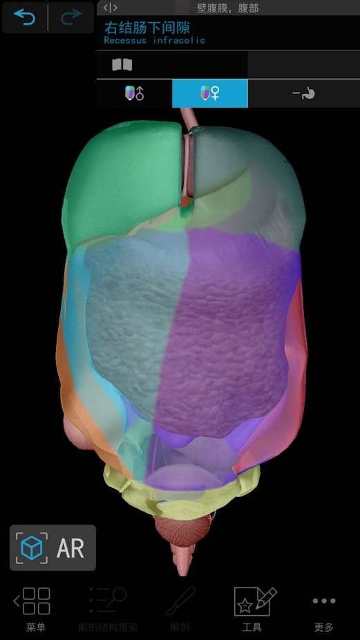 human anatomy atlas2021中文版