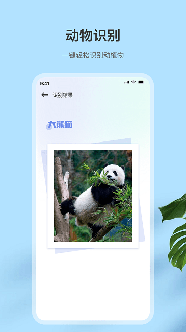 翻译扫描王软件