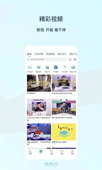 海精灵论坛