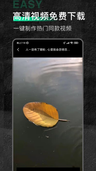 口袋今日素材app