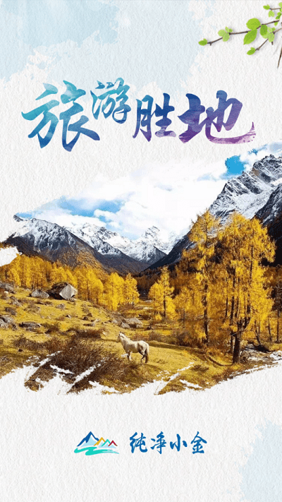 纯净小金app