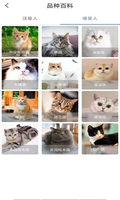 随身动物园app