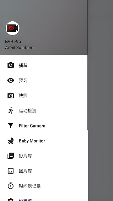 bvr pro软件