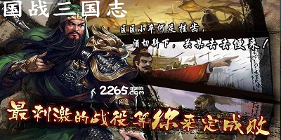 国战三国志