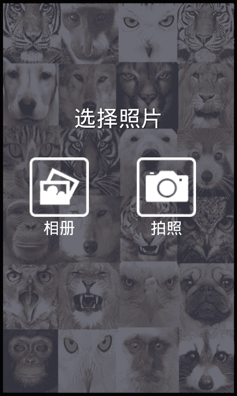 变脸相机app下载
