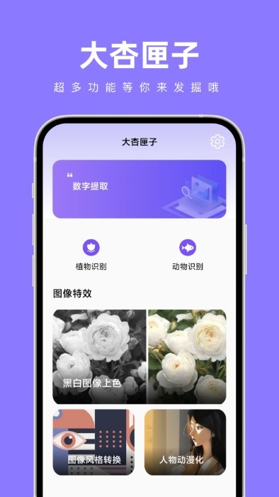 大杏匣子官方版下载