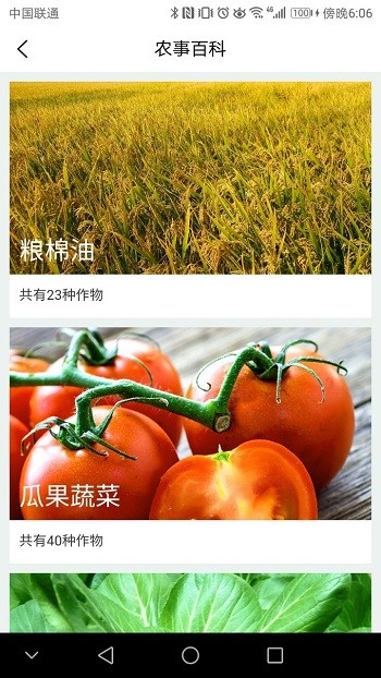 寿光蔬菜最新版