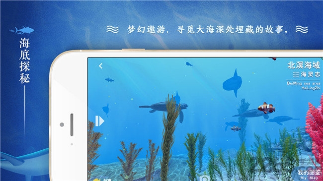 寻海中文版