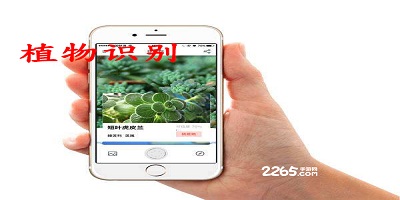植物识别软件