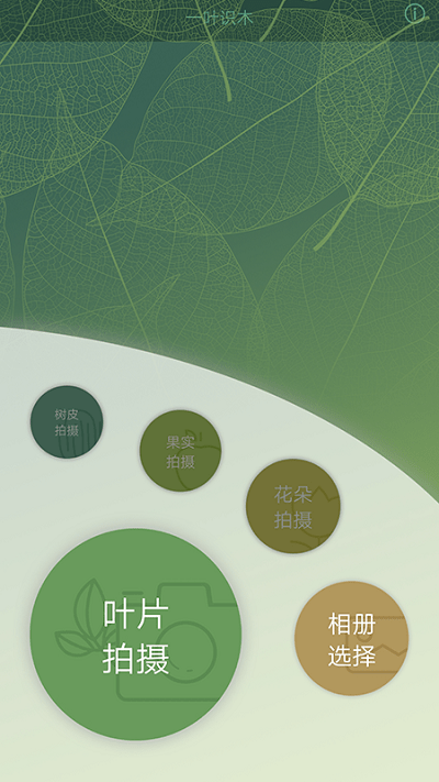 一叶识木软件