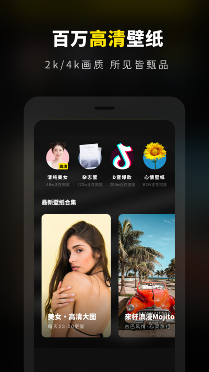 壁纸大全精选app