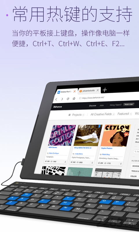 星尘浏览器电视版