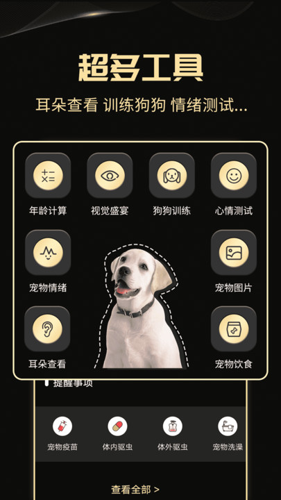 人狗交流神器app