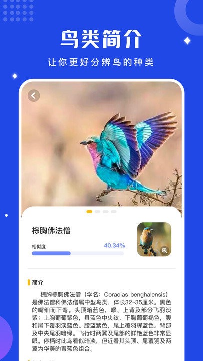 鸟语语言翻译器手机版(改名鸟语翻译器)