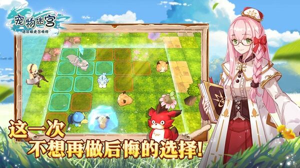 宠物迷宫单机版