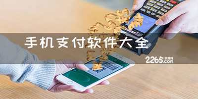 支付软件