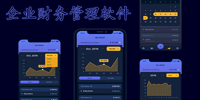 企业财务管理软件