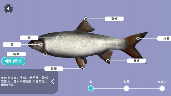 小学科学xr教室官方版