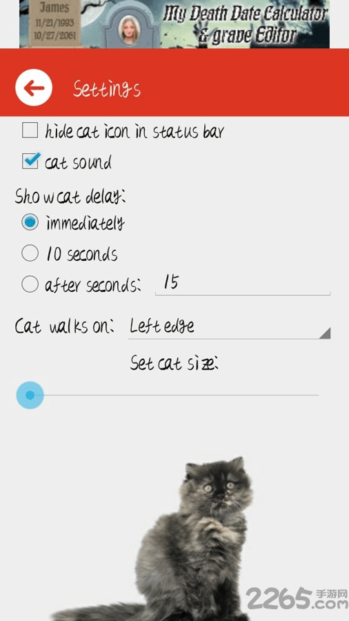 猫咪桌宠app