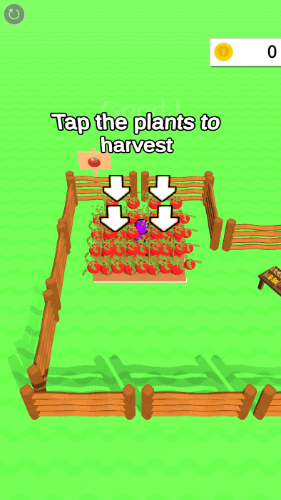 建立你的农场游戏