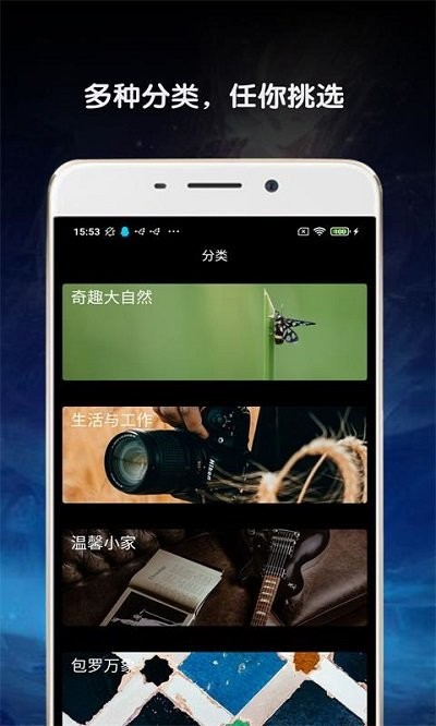 金胜主题壁纸大全官方版