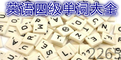 英语四级单词软件