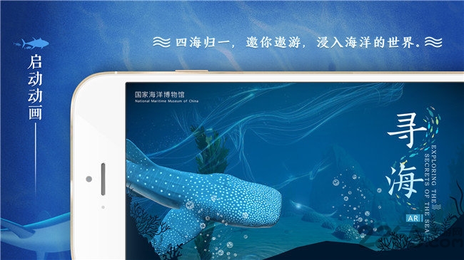 寻海中文版