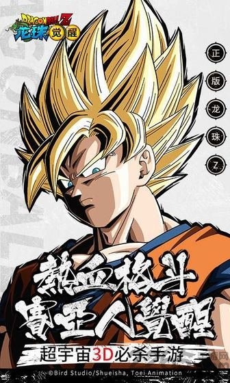 龙珠觉醒小米版