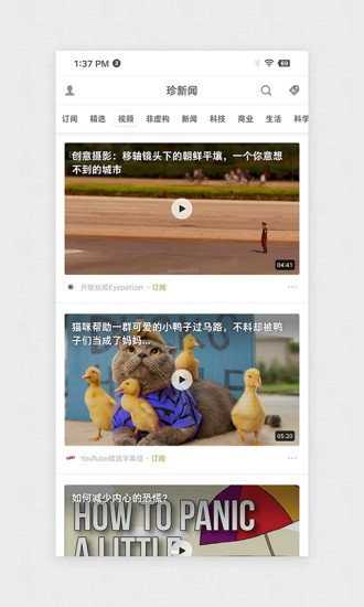 珍新闻app
