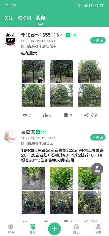 古树之道苗木平台