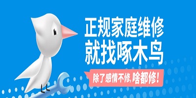 啄木鸟维修